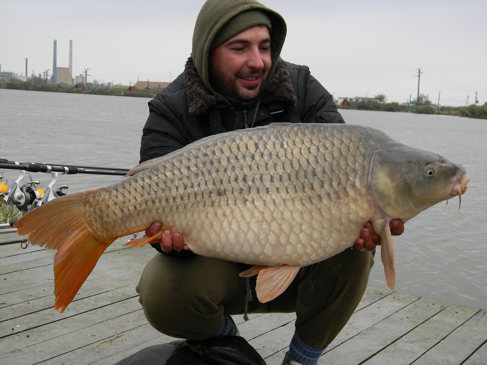 Capturi - dscn1170.JPG